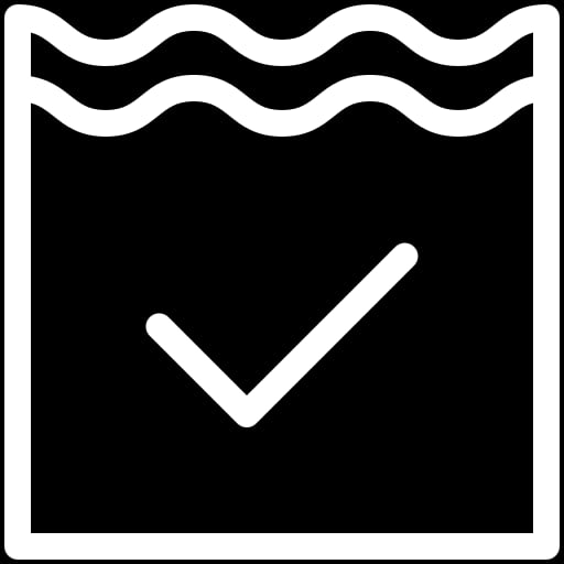 Swimming Pool Inspect Icon